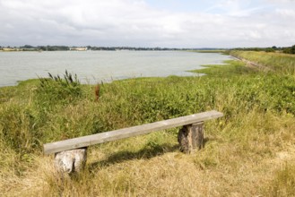 Summer landscape view of bench overlooking River Deben tidal estuary, Sutton, Suffolk, England, UK