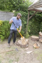 Young man using log splitter tool to split pine tree logs, Suffolk, England, UK