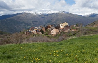 Small mountain village in front of snow-capped mountains, surrounded by green meadow and blooming