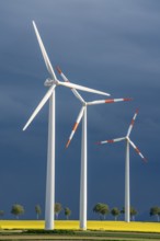 Wind turbines on a rape field, dark rain clouds, in the Rhenish lignite mining area, near