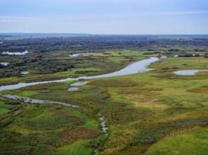 The Warta Estuary National Park, Park Narodowy Ujscie Warty, where the Warta flows into the Oder.