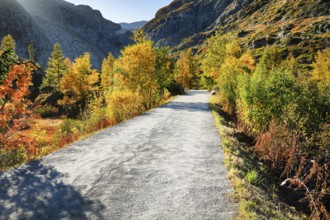 Path along Lac Emosson in the canton of Valais, Switzerland, lined with autumnal vegetation, Europe