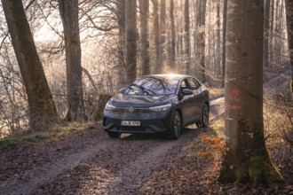 Vehicle in a forest path, tree with red marking on the right, car sharing, electric car, Volkswagen