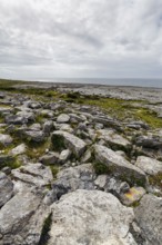 Bizarrely shaped limestone slabs, hiking trail along the coastline, limestone coast of the Burren,