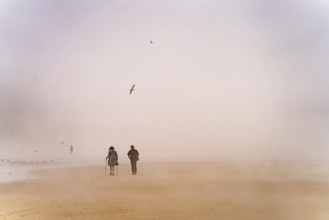 Fog on Cran d'Escalles beach on the Côte d'Opale or Opal Coast in Escalles, France, Europe