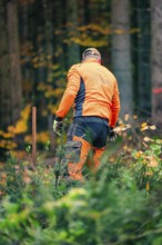 Forestry worker in orange clothing plants trees in autumn forest, tree planting campaign, Waldbike