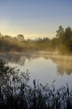 Sunrise with fog, Mühlweiher at Reutberg Monastery, Sachsenkam, Tölzer Land, Alpine foothills,