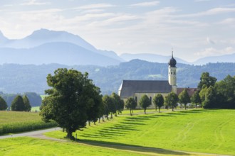 Pilgrimage church of St Marinus in Wilparting, cornfield, avenue, meadow, municipality of