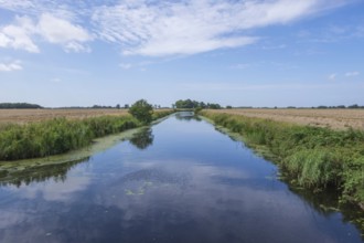 East Frisian Landscape, Krummhörn, East Frisia, Lower Saxony, Germany, Europe