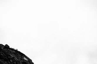 Three chamoises (Rupicapra rupicapra) on rocks in front of a white sky, Tschagguns, Rätikon,