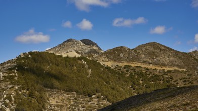 Mountain landscape with wooded hills and blue sky, Northern West Coast, Karpathos, Dodecanese,