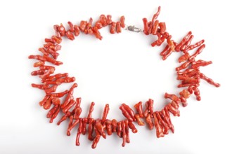 Red coral beads isolated on white background. top view, close up