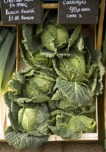 Fresh cabbages on display in wooden crate box