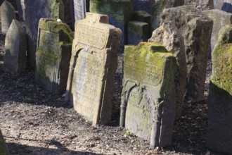 The Old Jewish Cemetery in the Josefov district is one of the most historically significant Jewish