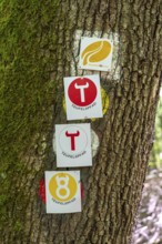 Hiking signs for various hiking trails in the Devil's Gorge, near Irrel, Southern Eifel nature park