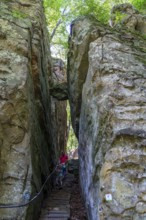 The Devil's Gorge, narrow, accessible gorge of sandstone rocks, with steep rocky gorges, near