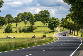 Country road near Kesternich, Kurven, Eifel, North Rhine-Westphalia, Germany, Europe