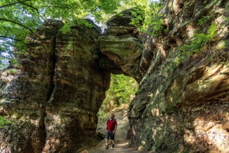 Hindenburgtor, rock formation on the red sandstone route, hiking trail, above the Rur valley,