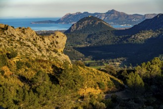 View of the bay of Port de Polença, in the north-west of Majorca, Balearic Islands, Spain, Europe