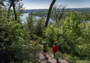 Hiking on the Baldeney Steig, a hiking trail around Lake Baldeney in Essen, a Ruhr reservoir, over