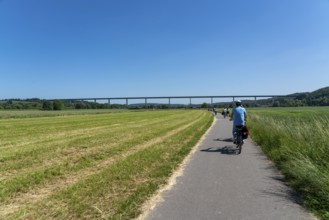 Cycle path in the Mendener Ruhrauen, view to the east towards Mintarder Ruhrtalbrücke, Mülheim an