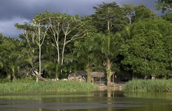 Hut on the Sangha River, Dzanga-Sangha Complex of Protected Areas (DSPAC), Sangha-Mbaéré