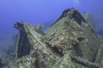 Heavily overgrown and rotten remains of a shipwreck in the sea. Dive site Wreck of the Condesito,