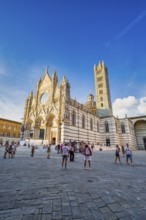 Cathedral of Siena, Tuscany, Italy, Europe