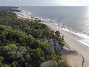 Beach in Loango National Park, Parc National de Loango, Atlantic Ocean, aerial view,