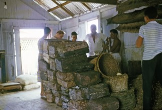 Inside a shop selling latex blocks and anaconda snake skins, Floating City, Manaus, Brazil 1962