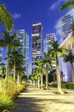 Miami skyline with skyscrapers at Maurice A. Ferré Park at night in Miami, USA, North America