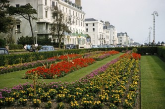 Flowerbeds and gardens, The Leas Promenade, Folkestone, Kent, England, UK, 1962 View to the east