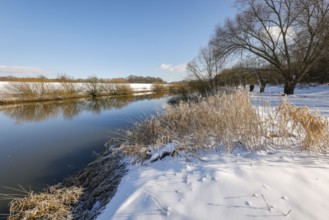 Dorsten, North Rhine-Westphalia, Germany - Sunny winter landscape in the Ruhr area, ice and snow on