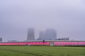 Neurath lignite-fired power plant, operated by RWE in the Rhenish lignite mining area, greenhouses