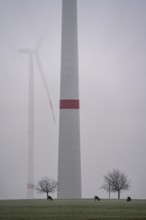 Wind farm in the fog, dark doldrums, no wind no direct sunlight, in the Rhenish lignite mining