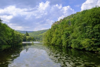 An der Thaya, river, Hardegg, Thaya valley, Thaya valley, border river, Weinviertel, Lower Austria,