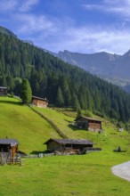 Helgas Alm, Valser Tal, Valser Tal Natura 2000 nature reserve, Wipptal, Tyrol, Austria, Europe