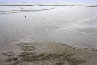 Low tide, mudflats, Dollart, Nieuwe Statenzijl, Netherlands