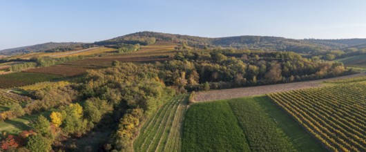 Aerial view, Autumn landscape with vineyards, Pulkautal, Weinviertel, Lower Austria, Austria,