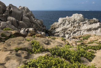 Bizarre and huge granite rocks by the sea, Capo Testa, near Santa Teresa di Gallura, Sardinia,