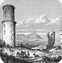 Bad Godesberg, ruins of Godesberg Castle with the Siebengebirge, round tower, low mountain range,