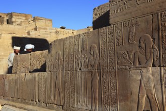 Reliefs and engravings on the walls of the Kom Ombo Temple on the Nile, Africa, Upper Egypt, Egypt,