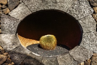 2016, Guatiza, Lanzarote, Jardin de Cactus by Cesar Manrique, ESP, Spain, Canary Islands, Canary