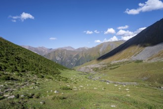 Green high valley with mountain stream, Keldike Valley on the way to the Ala Kul Pass, Tien Shan