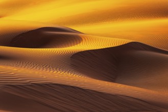 Wind-sculpted sand structure in the Rub al Khali desert, Dhofar province, Arabian Peninsula,