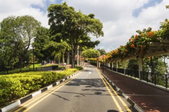 Asphalt road in the park in Singapore