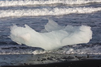 Little icebergs and crushed ice on the black beach at Joekulsarlon glacial lake