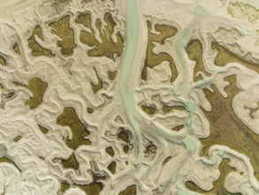 Network of channels and streams at low tide, in the marshland of the Bahía de Cádiz, aerial view,