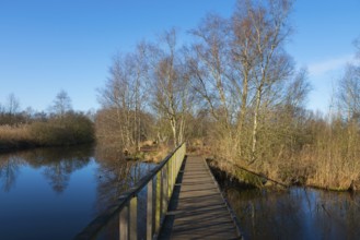 Bridge, De Deelen, landscape conservation area, nature reserve, Luinjeberd, Lúnbert, Heerenveen,