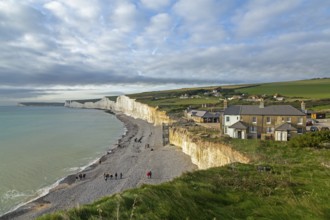 Birling Gap, The Seven Sisters chalk cliffs, South Downs, England, United Kingdom, Europe